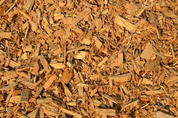 Background from sawdust