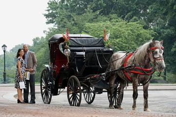Fototapeta na wymiar Couple stood next to horse drawn carriage
