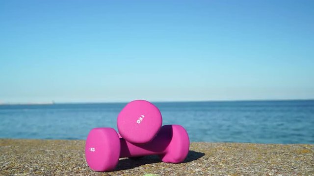Light pink dumbbells sport symbol outdoor on sea shore 4K