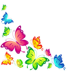 butterflies design