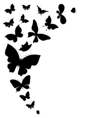 butterflies design