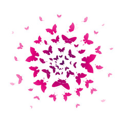 butterflies design