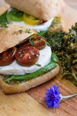 fresh mozzarella tomato sandwich with basil