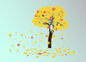 autumn yellow chestnut tree