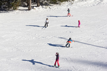 One adult and four children  enjoying good snow