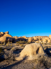Landscape in Joshua Tree National Park, California, USA, where the Mojave and Colorado desert ecosystems meet.