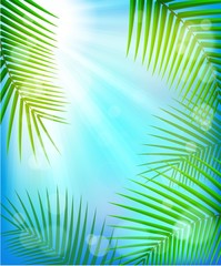 Summer tropical background