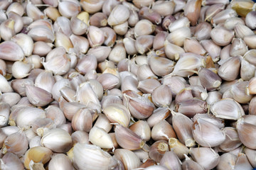Fresh Organic Garlic Bulb Clove
