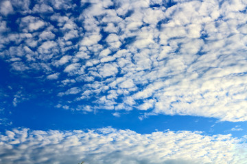 Fototapeta premium blue sky with cloud