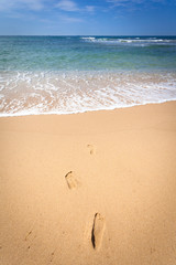 Fototapeta na wymiar Queensland, Australia sunshine coast beaches features 