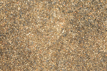 Wet small stone cement for background.