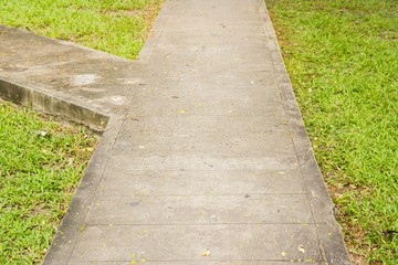 Junction of walking path in garden with green grass.