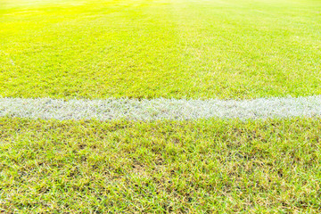 White line in football or soccer field.
