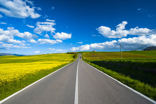 Fototapeta Road in the nature