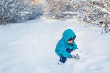 Fototapeta na wymiar A cute little boy plays with snow in winter forest
