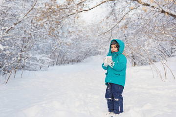 Fototapeta na wymiar A cute little boy stands and keep snow in park
