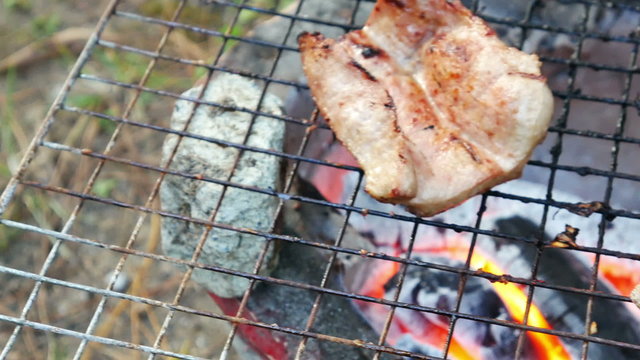 Bar-B-Q or BBQ with kebab cooking. coal grill