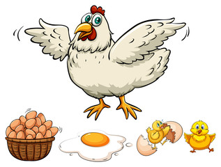 Chicken and eggs in basket