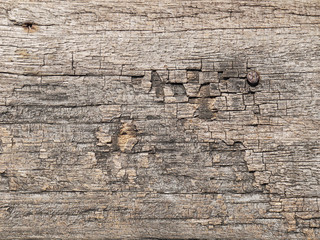 crack on old wood plank background