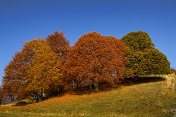 Fototapeta premium Fall nature, Bulgaria
