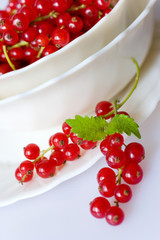 red currants berries in a white bowl