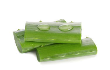 Fresh aloe vera leaves with water drops on white