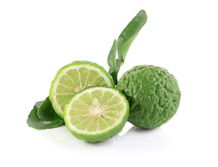 Bergamot tree with leaf isolate on white