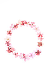 赤い花の押し花