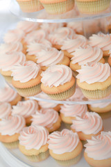 Cupcake in wedding party