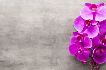 Tissu par mètre Orchidée Belle orchidée rose sur fond gris.