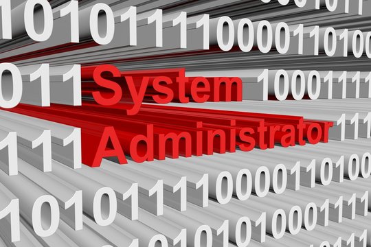 System administrator are presented in the form of binary code