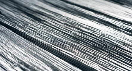 Black and white old wood texture macro
