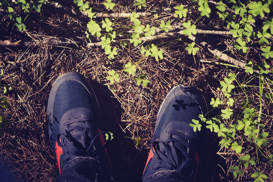 Shoes in the forest. Vintage tone. Top view.