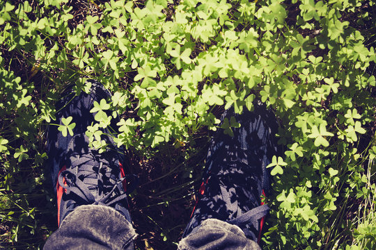 Shoes in the forest covered by clovers. Top view.