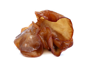 black fungus on white background