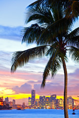 Fototapeta na wymiar Beautiful sunset over Downtown and the Port of Miami, beautiful colorful sunset with silhouettes of Palm trees