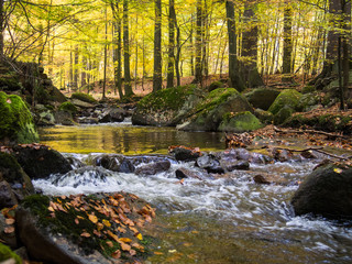 Fototapeta na wymiar Magic autumn river and forest