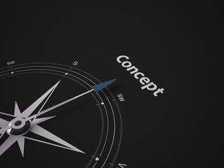 Conceptual 3D Compass