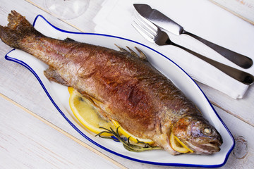 Whole grilled trout. View from above, top studio shot