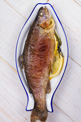 Whole grilled trout. View from above, top studio shot