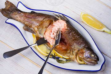 Whole grilled trout. View from above, top studio shot