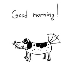 The dog says good morning