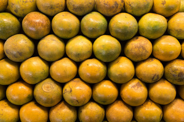 Orange selling at the market