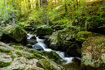 Magic Harz landscape in autum