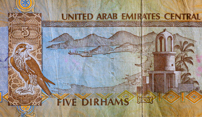 United Arab Emirates dirham banknotes. Texture of note of the official UAE currency.