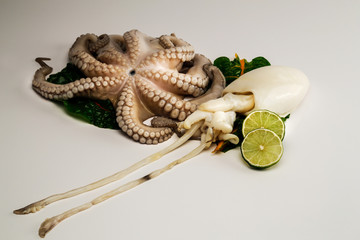 pulpo