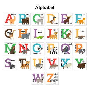 English animals zoo alphabet
