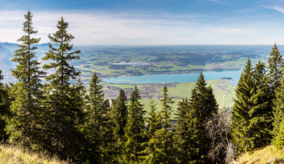 Alps and forest in a summer day in Germany