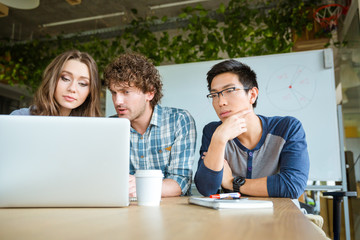 Confident concentrated students learning and studying with laptop