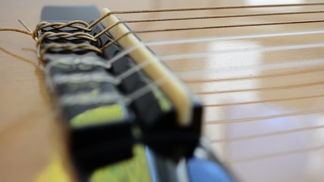 Strings and guitar